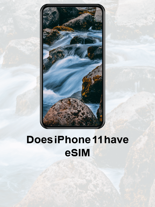 Does iPhone 11 have eSIM